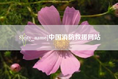 丰城中国消防救援网站