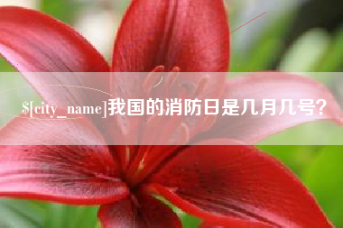 丰城我国的消防日是几月几号？