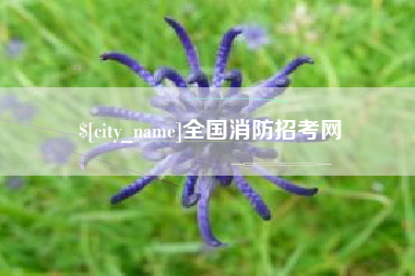 丰城全国消防招考网