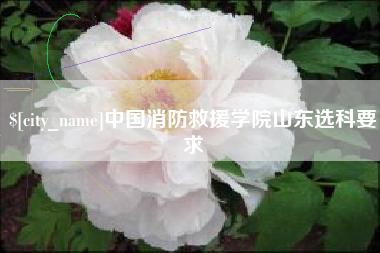 丰城中国消防救援学院山东选科要求