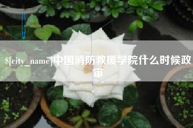 丰城中国消防救援学院什么时候政审