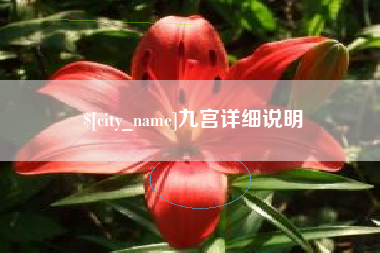 丰城九宫详细说明