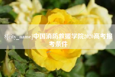 丰城中国消防救援学院2020高考报考条件