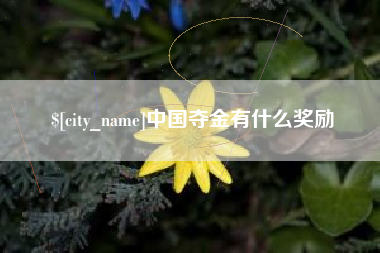 丰城中国夺金有什么奖励
