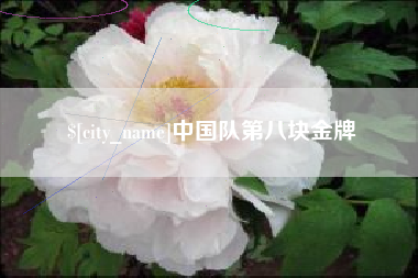 丰城中国队第八块金牌