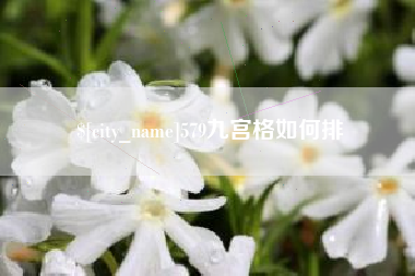 丰城579九宫格如何排