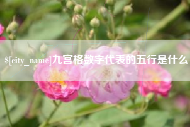 丰城九宫格数字代表的五行是什么