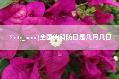 丰城全国的消防日是几月几日