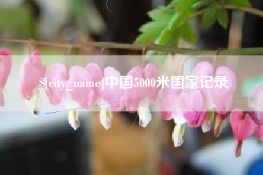 丰城中国5000米国家记录