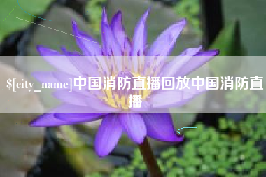 丰城中国消防直播回放中国消防直播