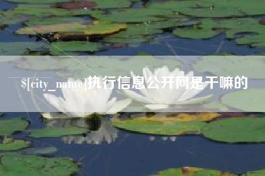 丰城执行信息公开网是干嘛的