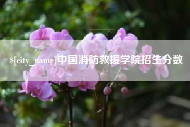 丰城中国消防救援学院招生分数