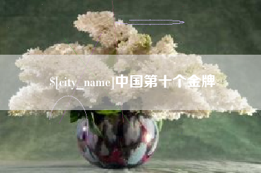 丰城中国第十个金牌
