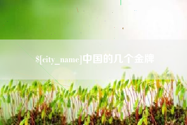 丰城中国的几个金牌