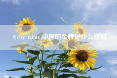 丰城中国的金牌是什么样的