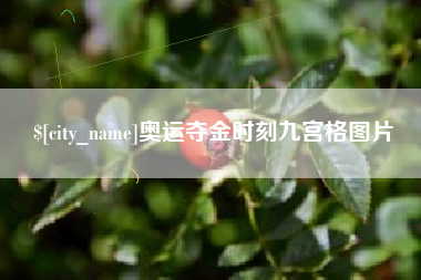 丰城奥运夺金时刻九宫格图片