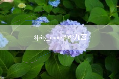 丰城2022九宫