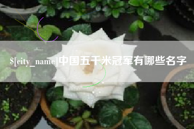 丰城中国五千米冠军有哪些名字