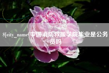 丰城中国消防救援学院毕业是公务员吗