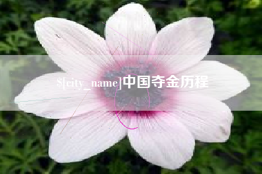 丰城中国夺金历程