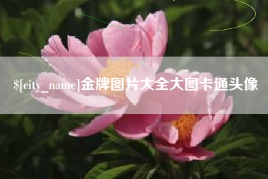丰城金牌图片大全大图卡通头像
