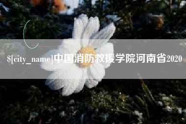 丰城中国消防救援学院河南省2020
